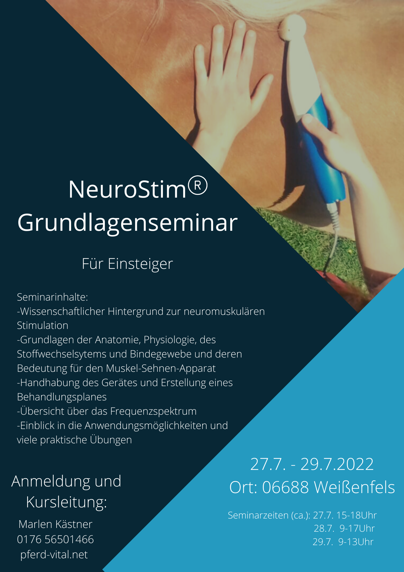 Seminarflyer